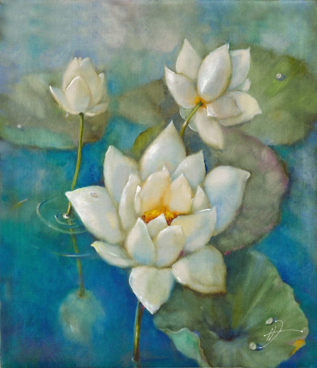 лотосы
