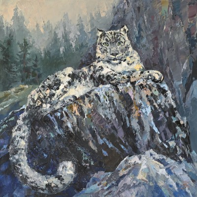Волш высокогорье