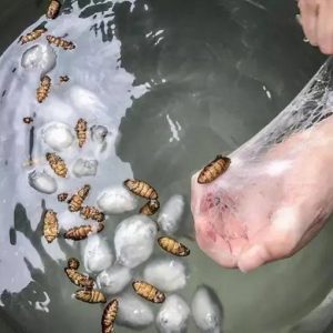 Производство Узоры Алтая