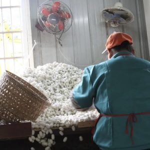 Производство Узоры Алтая